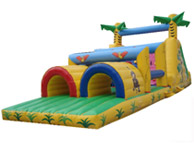 Bouncing Castle